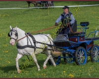 1POSIEUX 0153